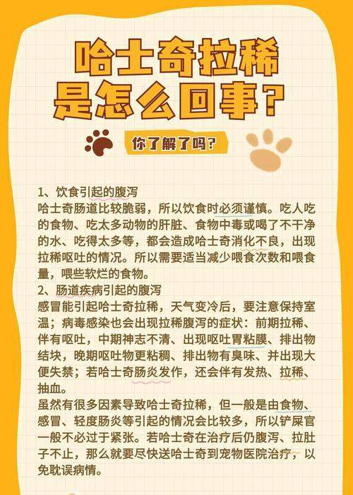 哈士奇口臭原因及有效预防措施 哈士奇口臭原因及有效预防措施