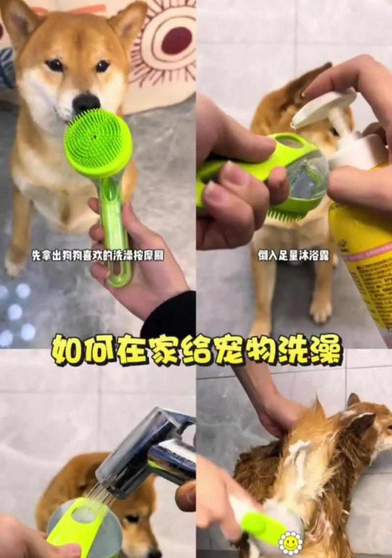 轻松给狗狗洗澡的五大实用技巧