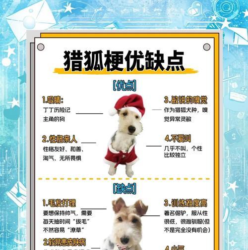 平毛猎狐梗饲养指南:全面解析护理与养护要点 平毛猎狐梗饲养指南:全面解析护理与养护要点