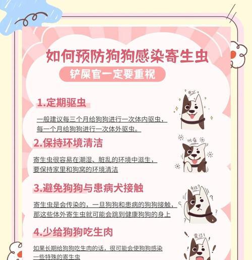 皮肤病狗狗能否安全驱虫?科学指南解析 皮肤病狗狗能否安全驱虫?科学指南解析