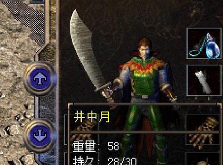 阿富汗猎犬洗脸护理技巧与步骤指南