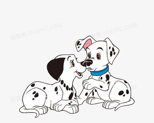 斑点狗频繁舔爪子究竟为何？科学解析背后原因