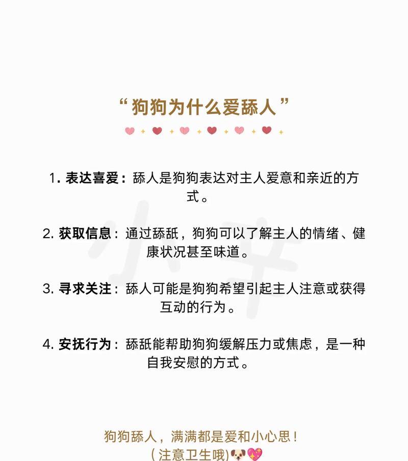 斑点狗频繁舔爪子究竟为何？科学解析背后原因