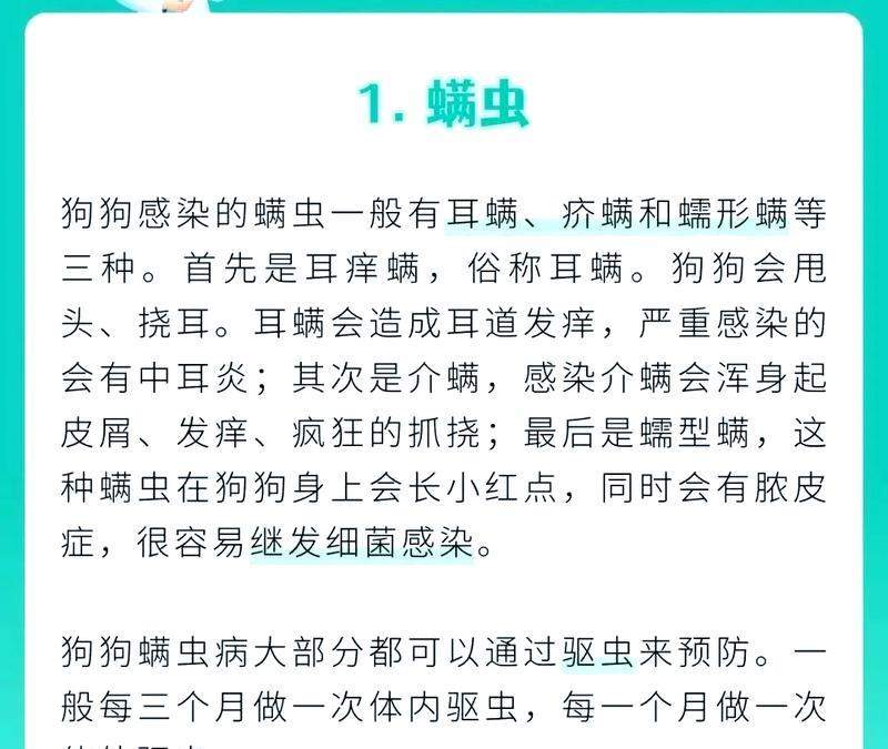 皮肤病狗狗能否安全驱虫?科学指南解析 皮肤病狗狗能否安全驱虫?科学指南解析