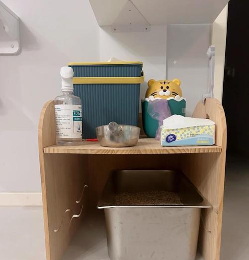 清理猫砂成与猫咪互动关键 创造亲密关系的日常方式