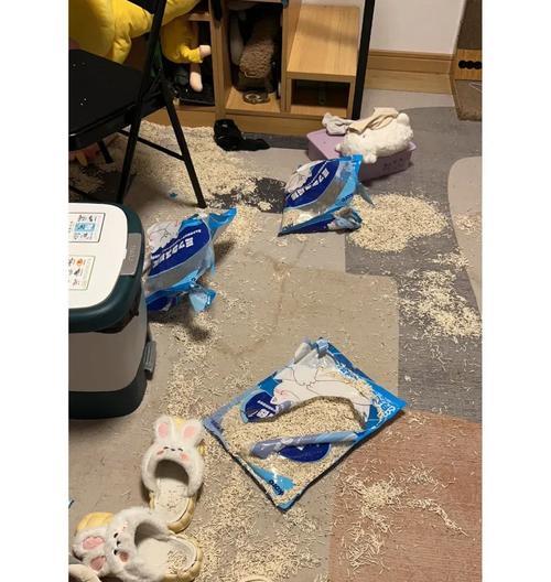 清理猫砂成与猫咪互动关键 创造亲密关系的日常方式
