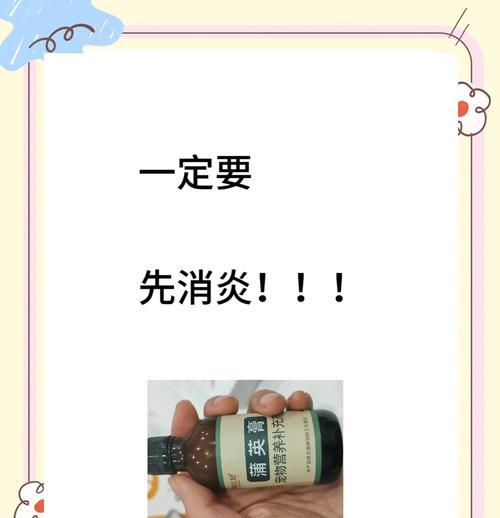 泰迪狗发烧处理全攻略：科学降温与预防方法