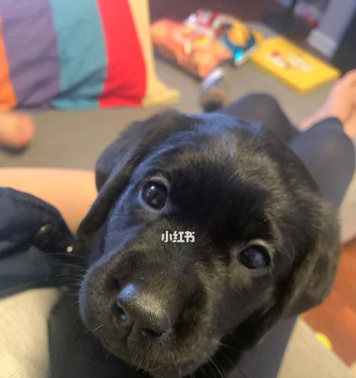 公寓逃生指南：掌握火灾地震急救与应对技巧