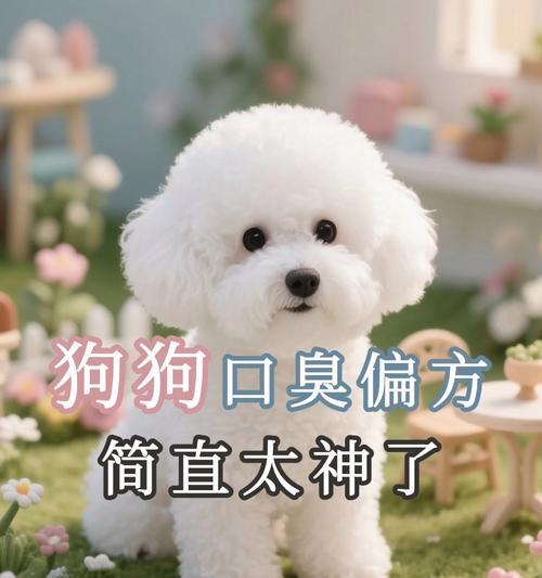 宠物口臭改善必备技巧_科学养护方法解析