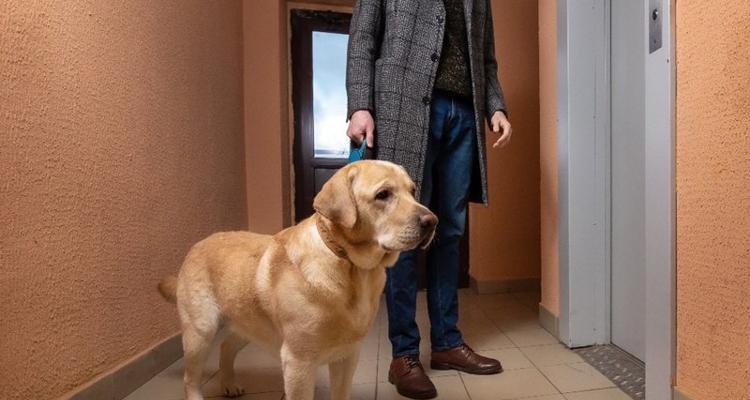 公寓逃生指南：掌握火灾地震急救与应对技巧