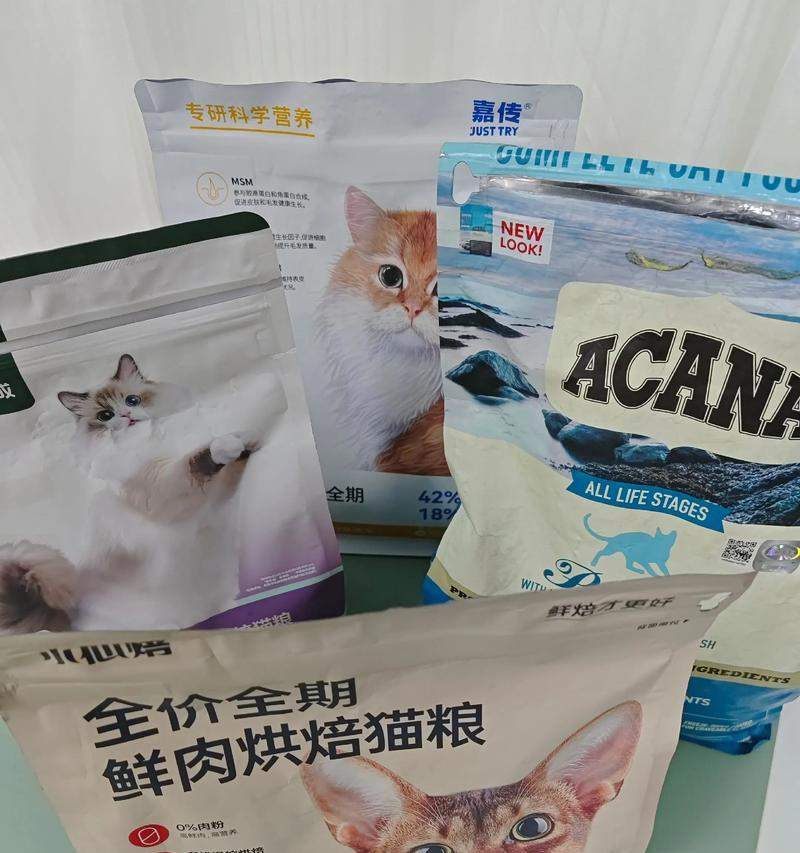 猫咪毛发健康五大养护要点