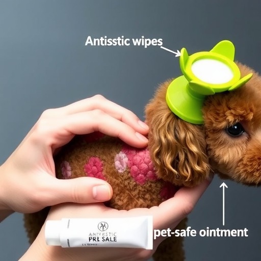 比熊犬常见皮肤问题及预防治疗指南