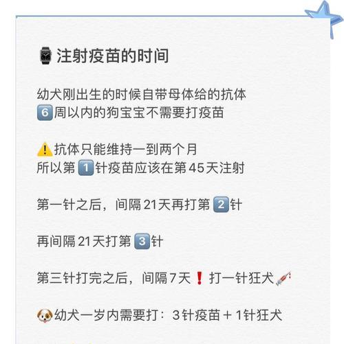 狗狗疫苗接种时间及注意事项解析