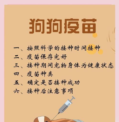 狗狗疫苗接种时间及注意事项解析