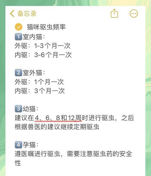 狗狗体内外驱虫的时间安排与频率解析