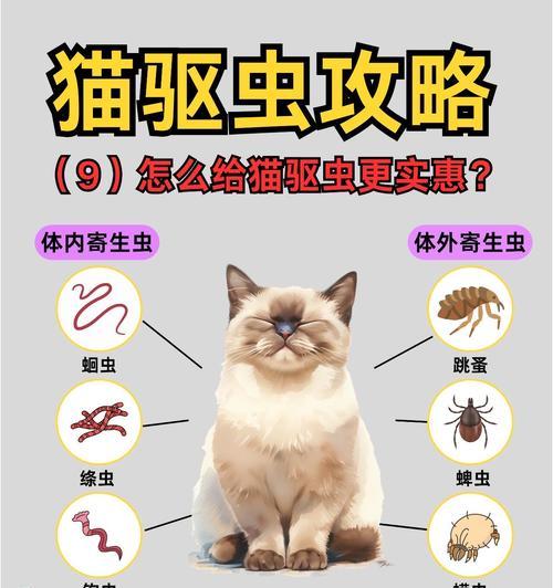 狗狗体内外驱虫的时间安排与频率解析