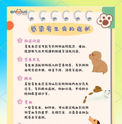 狗狗驱虫频率指南：科学方法与注意事项详解