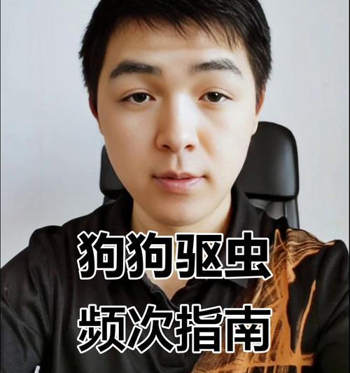 狗狗驱虫频率指南：科学方法与注意事项详解