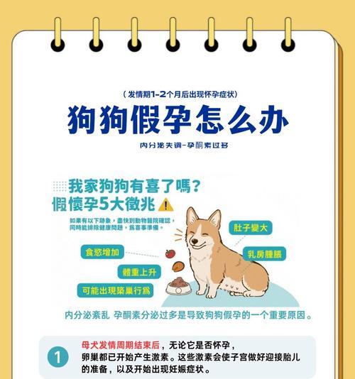 宠物狗繁殖周期解析与科学育儿指南