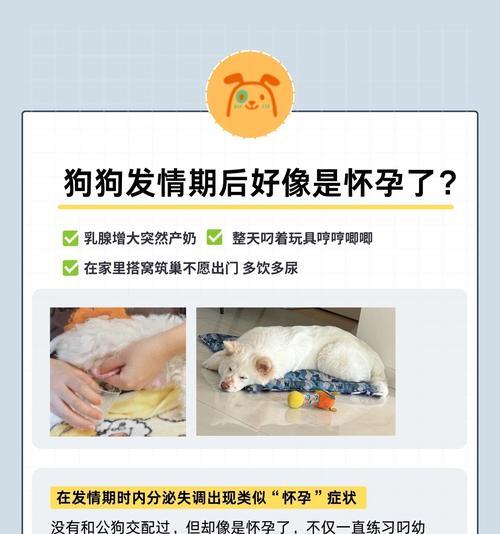 宠物狗繁殖周期解析与科学育儿指南