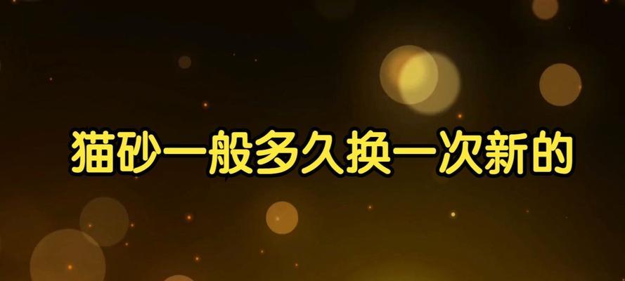 科学掌握小猫猫砂更换频率，保持健康清洁