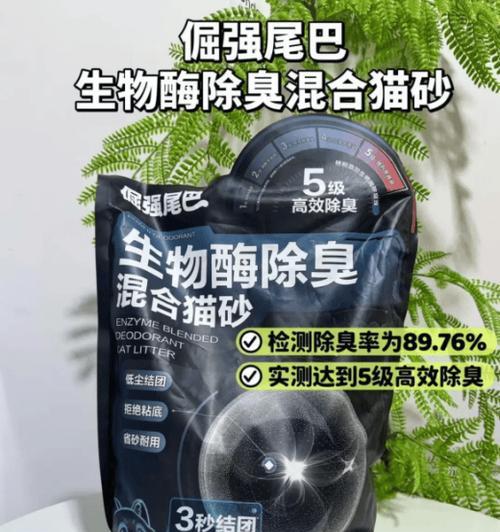 科学掌握小猫猫砂更换频率，保持健康清洁