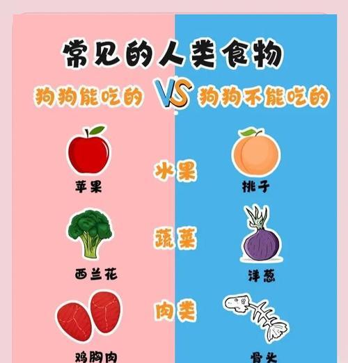 金毛狗青菜饮食搭配及注意事项