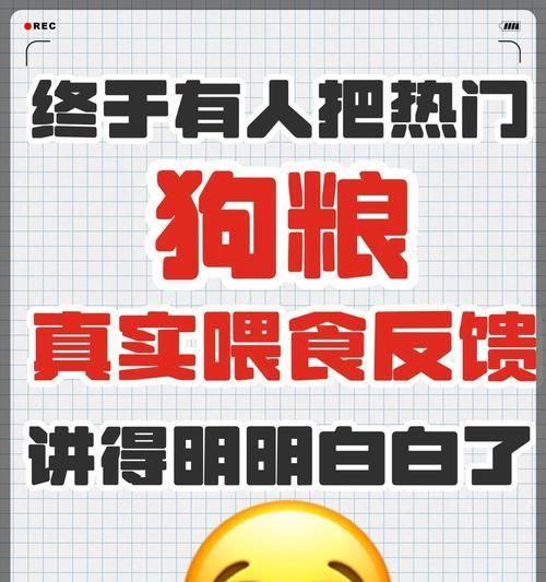 科学调控狗狗饮食频率：年龄、品种与健康指南