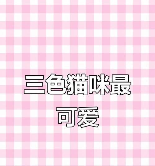 龙猫色彩大全：从银狐到彩色的个性魅力