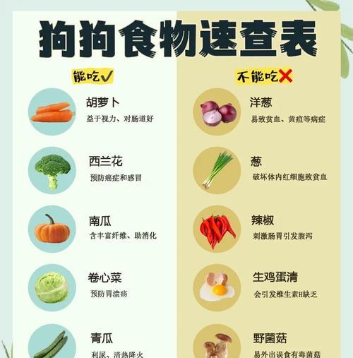 狗健康饮食指南：安全食物与喂养注意事项