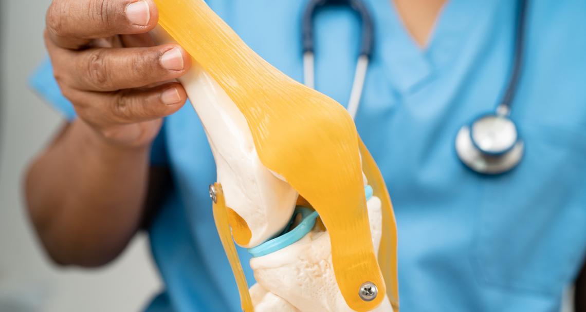 泰迪狗剪指甲频率与技巧全解析