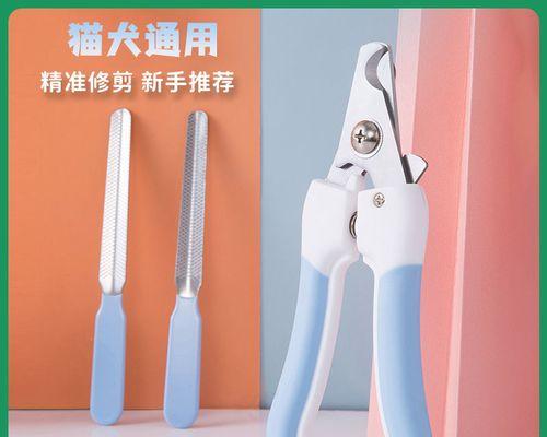 泰迪狗剪指甲频率与技巧全解析