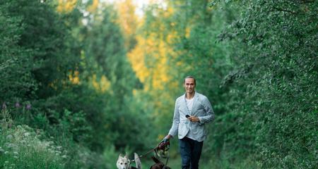 慢跑对狗狗的益处与运动安全指南