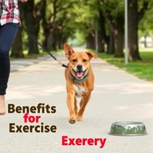 慢跑对狗狗的益处与运动安全指南