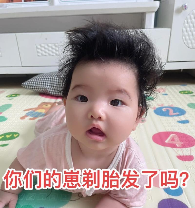 泰迪狗剃胎毛（解析泰迪狗剃胎毛的时间和方法）