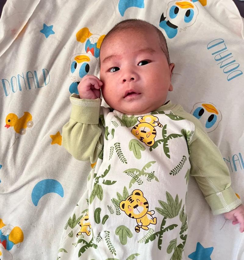 泰迪狗剃胎毛（解析泰迪狗剃胎毛的时间和方法）