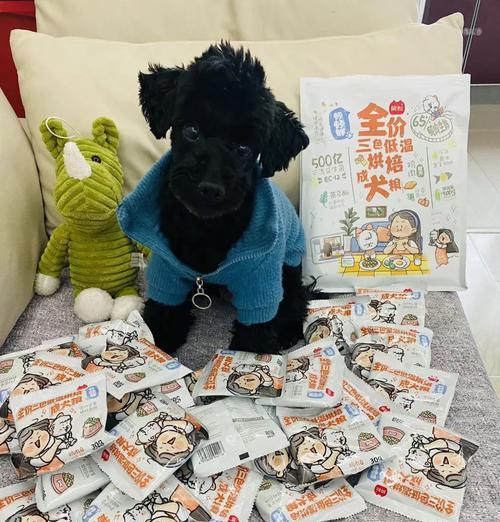 小狗一斤狗粮能吃多久？（探究小狗的食量与狗粮消耗量，）