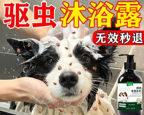 如何科学地进行驱虫和洗澡？（养成良好的驱虫和洗澡习惯，守护健康生活）