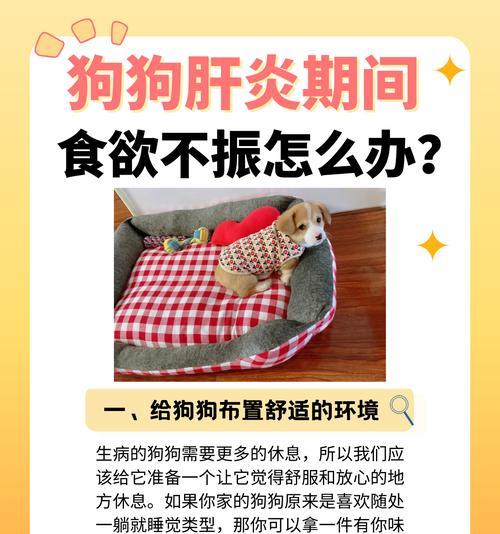 探究影响2个月大狗狗食量的因素（食物种类和身体状况是关键）