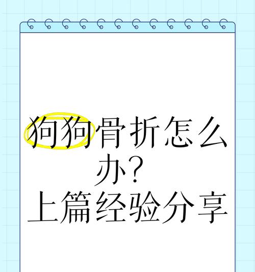 狗狗骨折固定时间与康复周期（狗狗骨折需固定多久才能完全康复？固定时间影响康复效果的关键）