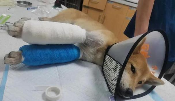 养护知识