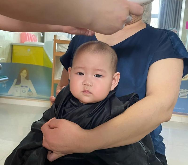 剃胎毛时间表（宠物狗剃胎毛）