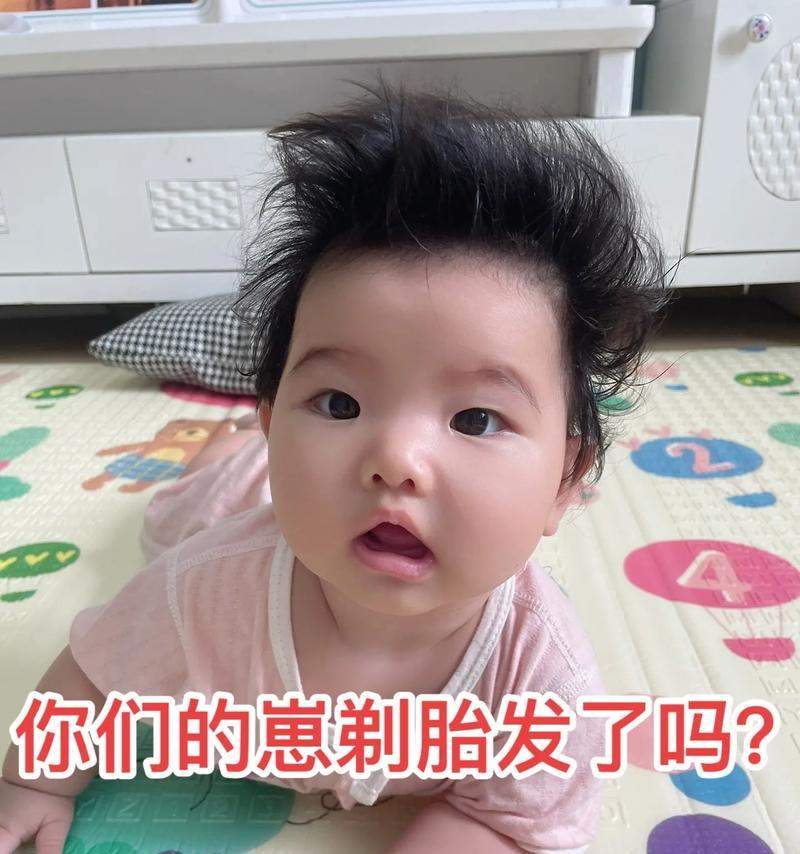 剃胎毛时间表（宠物狗剃胎毛）