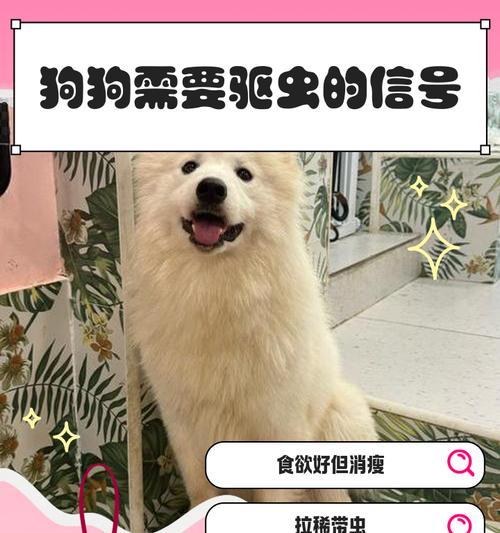 养护知识