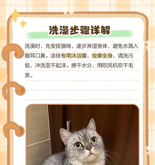 猫怀孕多久能洗澡？（了解正确的猫咪孕期清洁护理方法）