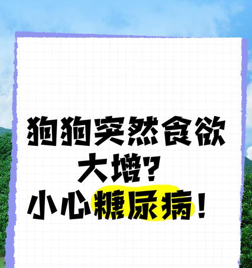狗狗食量与生长发育的因素（探究2个月大狗狗的食量变化及其影响因素）