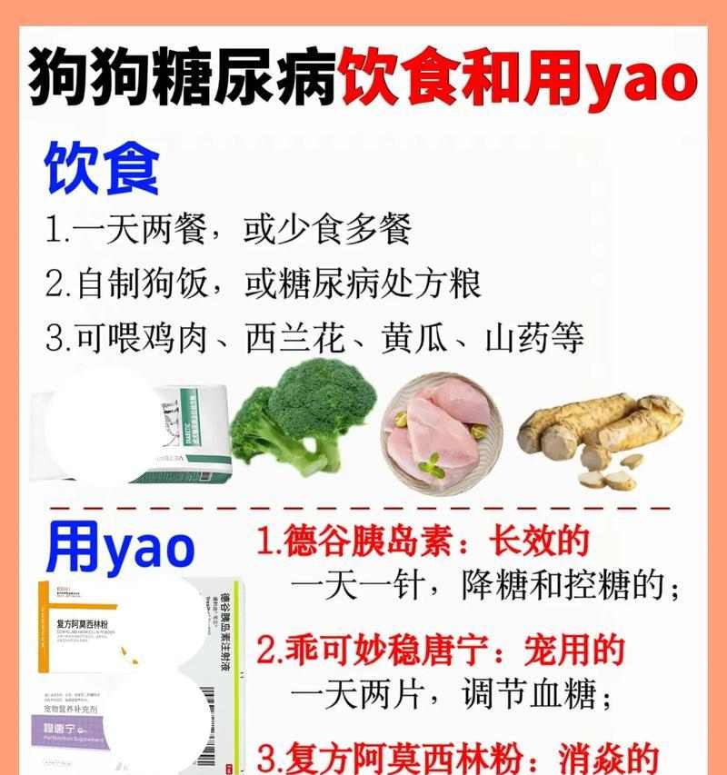 养护知识