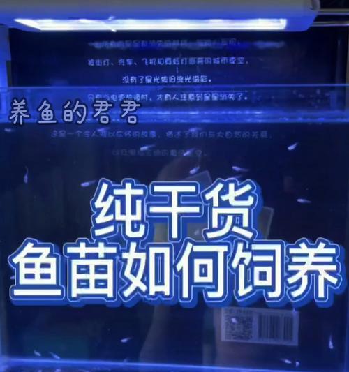 以小缸养孔雀鱼的水质管理之道（多久换水才能让孔雀鱼健康成长？）