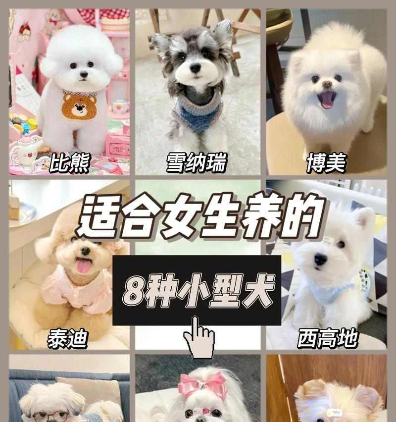 养护知识