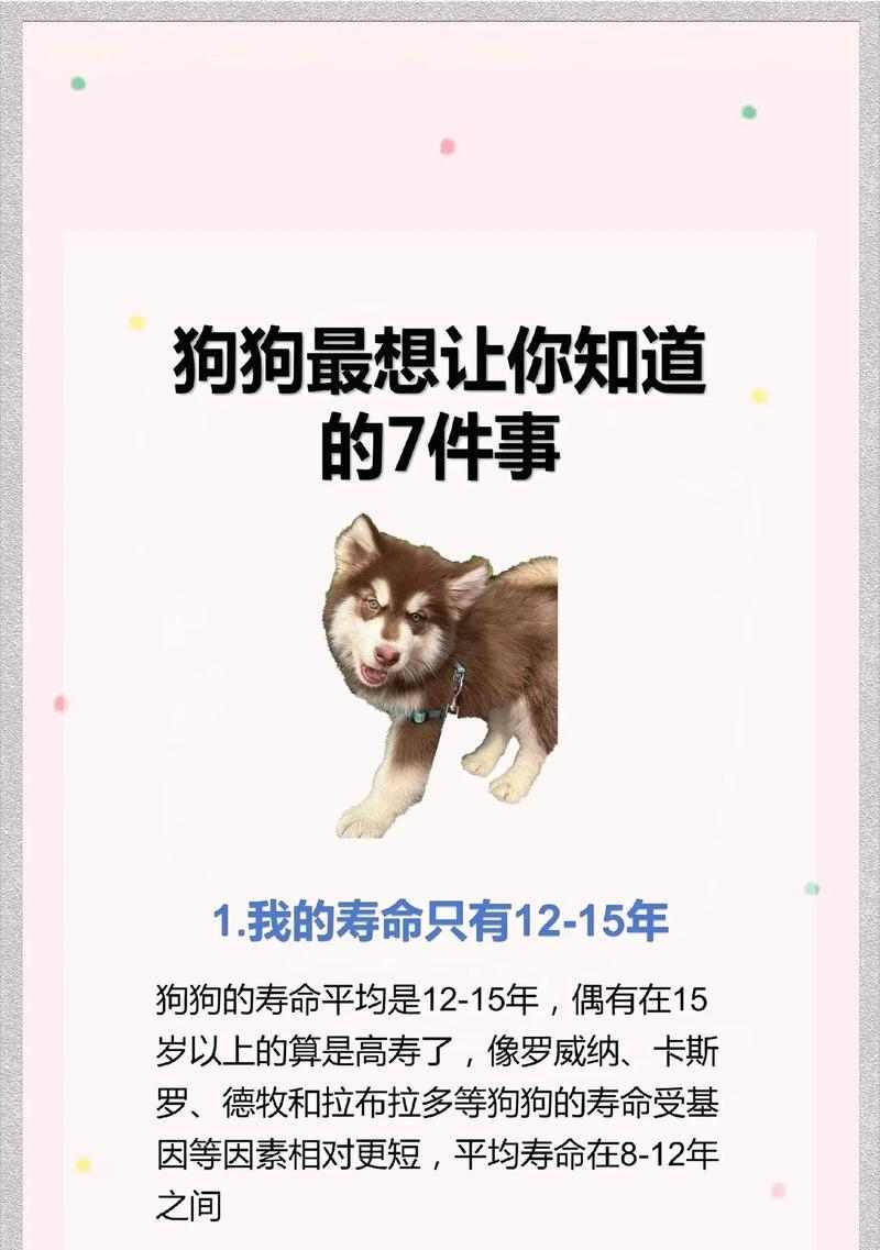 了解狗狗的成长周期，选择适合的体型（探索不同体型狗狗的成长需求与特点）
